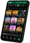 lobo8888 App
